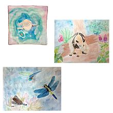 Naturaleza mexicana: la vaquita marina, el tamandúa y las libélulas. Un proyecto de Ilustración tradicional, Pintura, Dibujo, Ilustración con tinta, Ilustración naturalista				 y Pintura a la acuarela de Laura Chávez Doria - 04.06.2022