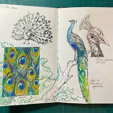 My project for course: Daily Sketching for Creative Inspiration. Traditional illustration, Sketching, Creativit, Drawing, and Sketchbook project by blanchedraws - 06.09.2022