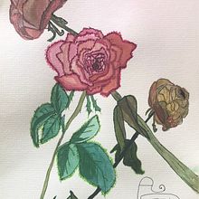 My project for course: Botanical Sketchbooking: A Meditative Approach. Botanical Illustration, and Sketchbook project by Patty Habegger - 06.07.2022