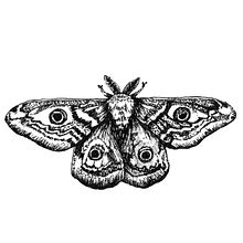 Mon projet du cours : Clés pour créer un portfolio d’illustrations professionnel. Un proyecto de Ilustración tradicional, Gestión del Portafolio, Gestión y productividad							 de Chine Seston - 09.06.2022