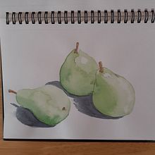 My project for course: Illustrating Nature: A Creative Exploration. Traditional illustration, Painting, Drawing, Watercolor Painting, Ink Illustration, and Naturalistic Illustration project by helen2022 - 06.09.2022