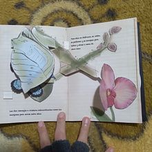 Meu projeto do curso: Livros pop-up interativos: crie mundos de papel. Een project van Craft, Redactioneel ontwerp, Papercraft,  Boekbinding y Creativiteit met kinderen van Cindy Guedes Reis - 10.06.2022