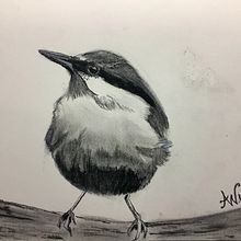 My project for course: Artistic Watercolor Techniques for Illustrating Birds. Un progetto di Illustrazione tradizionale, Pittura ad acquerello, Disegno realistico e Illustrazione naturalistica di Amy Werba - 10.06.2022
