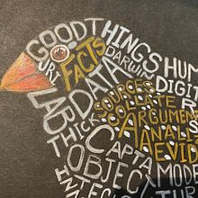 Finch . Ilustrație tradițională de bbordalejo - 06.11.2022