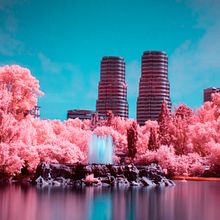Lago de Chapultepec, Ciudad de México. Photograph, Photo Retouching, Digital Photograph, Outdoor Photograph, Architectural Photograph, and Color Theor project by potencialdigital - 06.08.2022