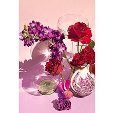 Retro Flower Therapy . Product Photograph, Fine-Art Photograph, Lifest, and le Photograph project by nicowilliamsdesign - 06.08.2022