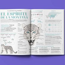 Infografía Leopardo de las nieves. Design, Infographics & Information Design project by Tamara Jiménez Miguel - 06.13.2022