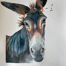 My project for course: Expressive Animal Portraits in Watercolor. Een project van Traditionele illustratie, Aquarelschilderen, Realistische tekening y Naturalistische illustratie van Hela Burkhardt - 13.06.2022