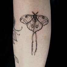 Mi proyecto del curso: Diseño de tatuajes Blackwork. Un proyecto de Ilustración tradicional, Ilustración digital y Diseño de tatuajes de Andrea Pronsato - 05.06.2022