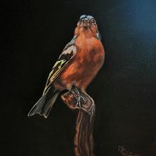 Mi proyecto del curso: Pintura al óleo para retrato naturalista de aves. Fine Arts, Painting, Oil Painting, and Naturalistic Illustration project by María Cristina Viñas Paz - 06.14.2022