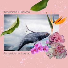 Mi proyecto del curso: Estampado textil con técnicas digitales. Pattern Design, Fashion Design, and Printing project by Eliana Gómez Bermúdez - 06.14.2022