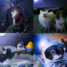 Colagem Animada - Dogs, Cat and Fantasy - Insta Reels. Animation, Collage, 2D Animation, and Video Editing project by Rodrigo Nagami - 06.08.2022