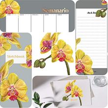 Mi proyecto del curso: Ilustración botánica con acuarela Ein Projekt aus dem Bereich Traditionelle Illustration, Bildende Künste, Malerei, Zeichnung, Aquarellmalerei und Botanische Illustration von Isabel Quiroga Castro - 12.02.2022