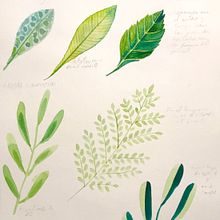 Mi proyecto del curso: Técnicas aplicadas de ilustración en acuarela. Projekt z dziedziny Trad, c, jna ilustracja,  Sztuki piękne,  Malarstwo i Malowanie akwarelą użytkownika Yamileh Ramírez - 16.06.2022