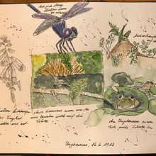 My project for course: Watercolor Travel Journal. Traditional illustration, Watercolor Painting, Architectural Illustration, and Sketchbook project by Susanne Taudte - 06.16.2022