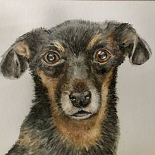 My project for course: Expressive Animal Portraits in Watercolor  "Friend in Deed". Projekt z dziedziny Malowanie akwarelą użytkownika mamae - 16.06.2022