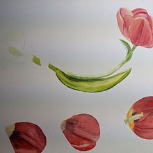 My project for course: Botanical Illustration with Watercolors. Projekt z dziedziny Trad, c, jna ilustracja,  Sztuki piękne,  Malarstwo,  R, sunek, Malowanie akwarelą, R i sunek botaniczn użytkownika amelia_hight - 16.06.2022