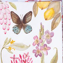 Mon projet du cours : Carnet naturaliste à l'aquarelle. Traditional illustration, Watercolor Painting, Botanical Illustration, Sketchbook, and Naturalistic Illustration project by Sandrine - 06.16.2022