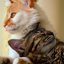 Mi proyecto del curso: Introducción a la producción musical. Projekt z dziedziny  Muz, ka, Produkcja muz i czna użytkownika deuce - 08.06.2022