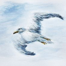 Seagull Jonathan Livingston (Watercolor painting). Un progetto di Illustrazione tradizionale, Pittura ad acquerello e Illustrazione naturalistica di miro.pobox - 16.05.2022