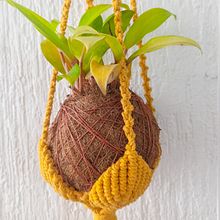 Mi proyecto del curso: Kokedamas: crea macetas naturales de musgo. Arts, Crafts, Interior Design, L, scape Architecture, Decoration, DIY, Floral, and Plant Design project by ALBA TERAN PATARROYO - 06.17.2022