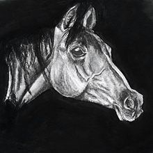 Realisitic horse. Pencil Drawing, and Sketching project by suryansh shekhawat - 06.18.2022