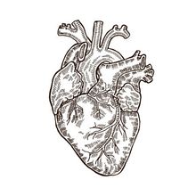 Mi proyecto del curso: Introducción a la escritura narrativa. Projekt z dziedziny Pisanie, Stor, telling, Narracja, Beletr, st, ka, Kreat i wne pisanie użytkownika Alejandro Capsan - 18.06.2022