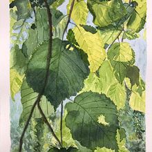 The Art of Watercolour: paint your vision of the world. Fine Arts project by Cindy Faulkner - 06.18.2022