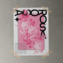 ROSE ROSA. Projekt z dziedziny Design użytkownika Andrea Achille Ravetti - 17.06.2022