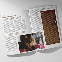 Meu projeto do curso: Fundamentos da tipografia de A a Z . % Martha Oliveira tarafından hazırlanan Sanat Yönetmenliği, Editöryal Tasarım, Grafik Tasarım, Tipografi, Ve Web Tasarımı projesi - 06.18.2022