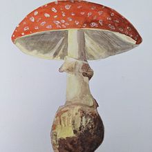 My project for course: ‌Illustration of Natural Elements in Watercolor. Un proyecto de Ilustración tradicional, Pintura a la acuarela e Ilustración naturalista				 de anja177 - 19.06.2022