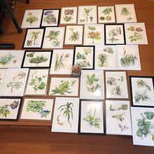My project for course: Introduction to Tattooing. Traditional illustration, Tattoo Design, and Botanical Illustration project by chiang0104 - 06.19.2022