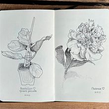 My project for course: Illustrated Diary: Fill Your Sketchbook with Experiences. Ilustração tradicional, Esboçado, Desenho, Sketchbook e Ilustração com tinta projeto de tatyana.anishchanka - 19.06.2022