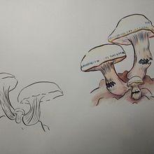 Mi proyecto del curso: Sketching diario como inspiración creativa. Traditional illustration, Sketching, Creativit, Drawing, and Sketchbook project by Fernanda Alvarez - 06.19.2022