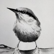 Il mio progetto del corso: Acquerello artistico per illustrazione di animali: gli uccelli. Naturalistic Illustration, Traditional illustration, Watercolor Painting, and Realistic Drawing project by Elisabetta Bagnoli - 06.20.2022