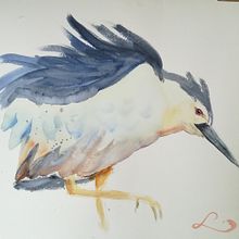 Mon projet du cours : Aquarelles naturalistes expressives avec du caractère. Watercolor Painting project by sabineboulet - 06.20.2022