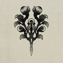 Meu projeto do curso: Design de tatuagem botânica com Procreate. Un proyecto de Ilustración tradicional, Ilustración digital, Diseño de tatuajes e Ilustración botánica de Maria Carolina Pegorin - 20.06.2022