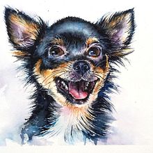 Meu projeto do curso: Retratos expressivos de animais em aquarela. Projekt z dziedziny Trad, c, jna ilustracja, Malowanie akwarelą, R, sunek realist, czn, Ilustracja naturalist i czna użytkownika sara alves - 20.06.2022