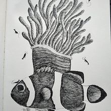 Pez payaso anémona. Un progetto di Illustrazione tradizionale, Disegno a matita, Disegno, Disegno realistico, Disegno artistico e Illustrazione con inchiostro di Javier Ramírez Ordóñez - 22.06.2022