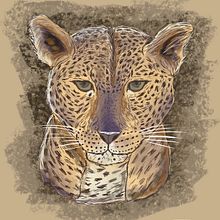 Mi proyecto del curso: Ilustración naturalista de animales con Procreate . % Karen dayana Gomez correa tarafından hazırlanan Geleneksel illüstras, on, Dijital İllüstras, on, Gerçekçi Çizim, Doğalcı İllüstras, Ve on projesi - 06.22.2022
