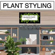 Plant Styling - Proyecto S. Oriente. Un progetto di Interior design, Paesaggismo, Interior Design, Interior Design, DIY, Design floreale e vegetale e Progettazione dello spazio di Juan Ignacio C. Regner - 16.06.2022