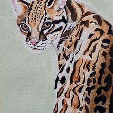 Mi proyecto del curso: Ilustración científica de animales en acuarela Ein Projekt aus dem Bereich Traditionelle Illustration, Aquarellmalerei, Realistische Zeichnung und Naturalistische Illustration von 35mmagic - 22.06.2022