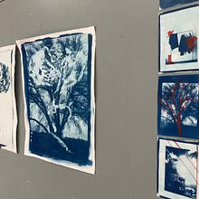Cyanotype Ein Projekt aus dem Bereich Fotografie und Grafikdesign von Lisa - 22.06.2022