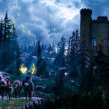 Forest. Een project van Grafisch ontwerp van ASHISH MOHANTY - 21.05.2022