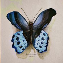 Mi proyecto del curso: Diario naturalista en acuarela. Traditional illustration, Watercolor Painting, Botanical Illustration, Sketchbook, and Naturalistic Illustration project by Lorena Rueda - 06.25.2022