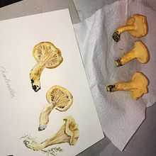 Nelli Flannery. Een project van Traditionele illustratie van Nelli Flannery - 08.09.2020