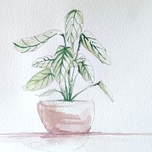 Planta Ein Projekt aus dem Bereich Aquarellmalerei von julio_mmolero - 26.06.2022