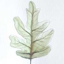 Hoja Ein Projekt aus dem Bereich Aquarellmalerei von julio_mmolero - 26.06.2022