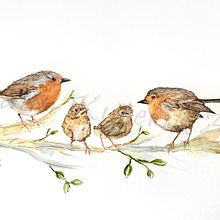 My project for course: Artistic Watercolor Techniques for Illustrating Birds. Traditional illustration, Watercolor Painting, Realistic Drawing, and Naturalistic Illustration project by leannkucerikart - 06.27.2022