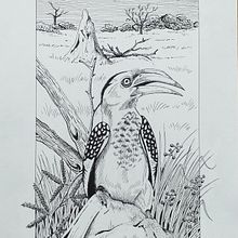 Mijn project van de cursus: Illustratie met een kroontjespen en inkt: leg de natuur vast. Sketching, Drawing, Artistic Drawing, Sketchbook, Ink Illustration, and Naturalistic Illustration project by Esther van der Meer - 06.27.2022